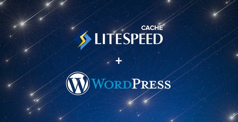 LiteSpeed Cache For WordPress