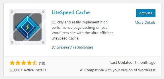 LiteSpeed Cache plugin