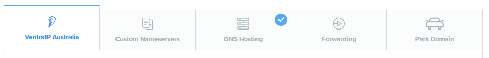 VIPControl DNS Options 